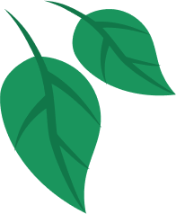leaves-2.png