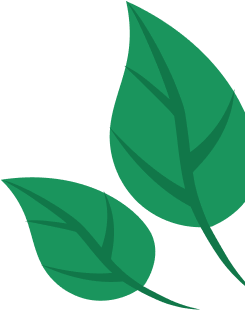 leaves.png